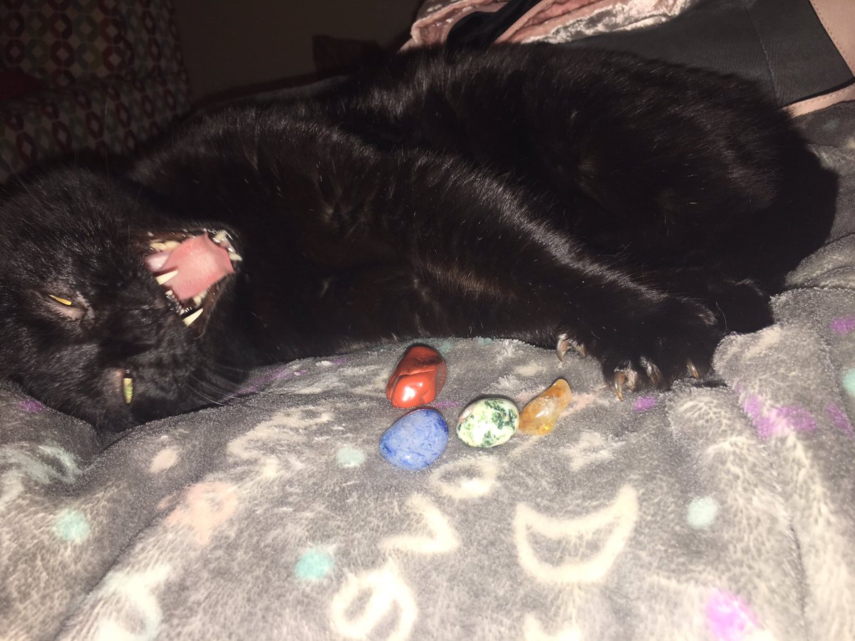 BitchyWitch9's tweet image. Which do y’all like better?? Lol!! I call it “Jinxy: Healing Cats; Healing Stones. #bluequartzite #treeagate #citritequartz #redjasper #healingstones
