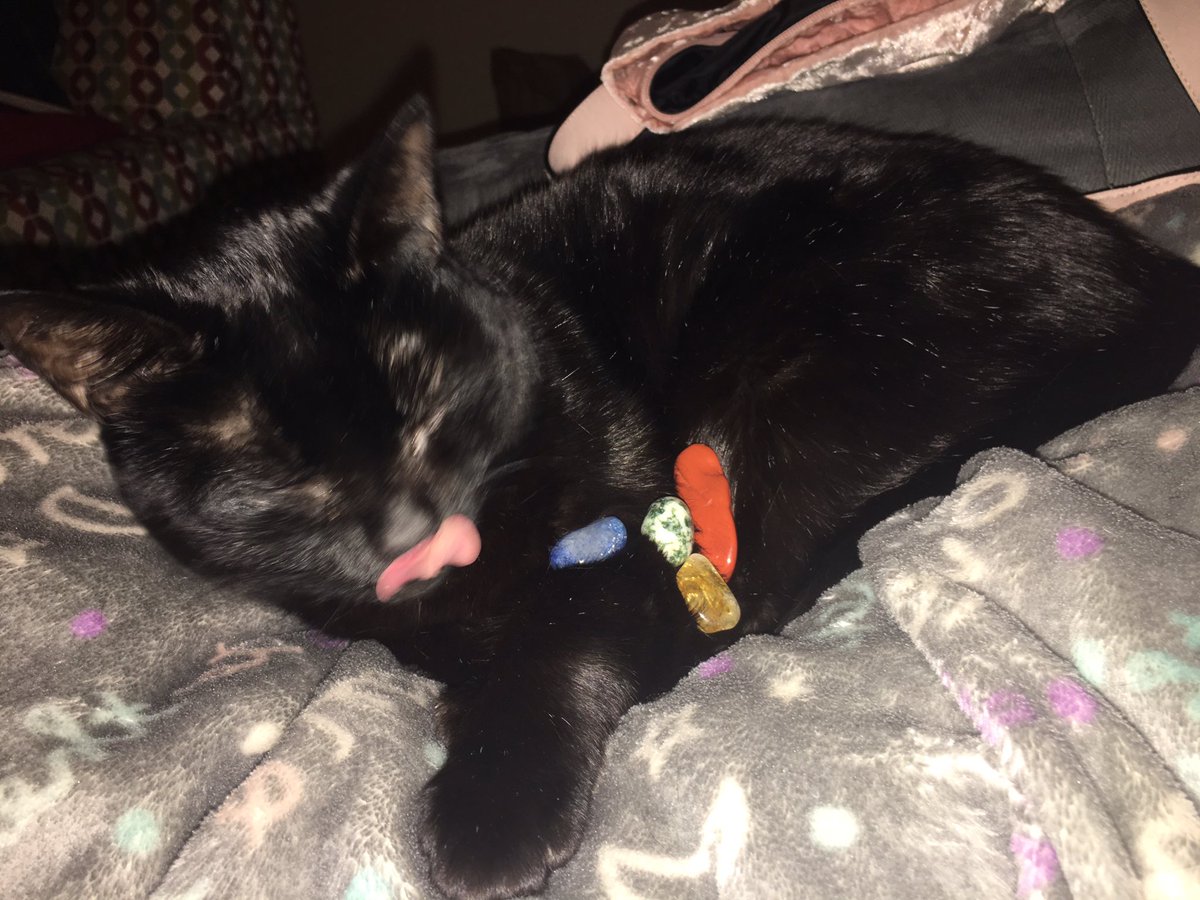 BitchyWitch9's tweet image. Which do y’all like better?? Lol!! I call it “Jinxy: Healing Cats; Healing Stones. #bluequartzite #treeagate #citritequartz #redjasper #healingstones