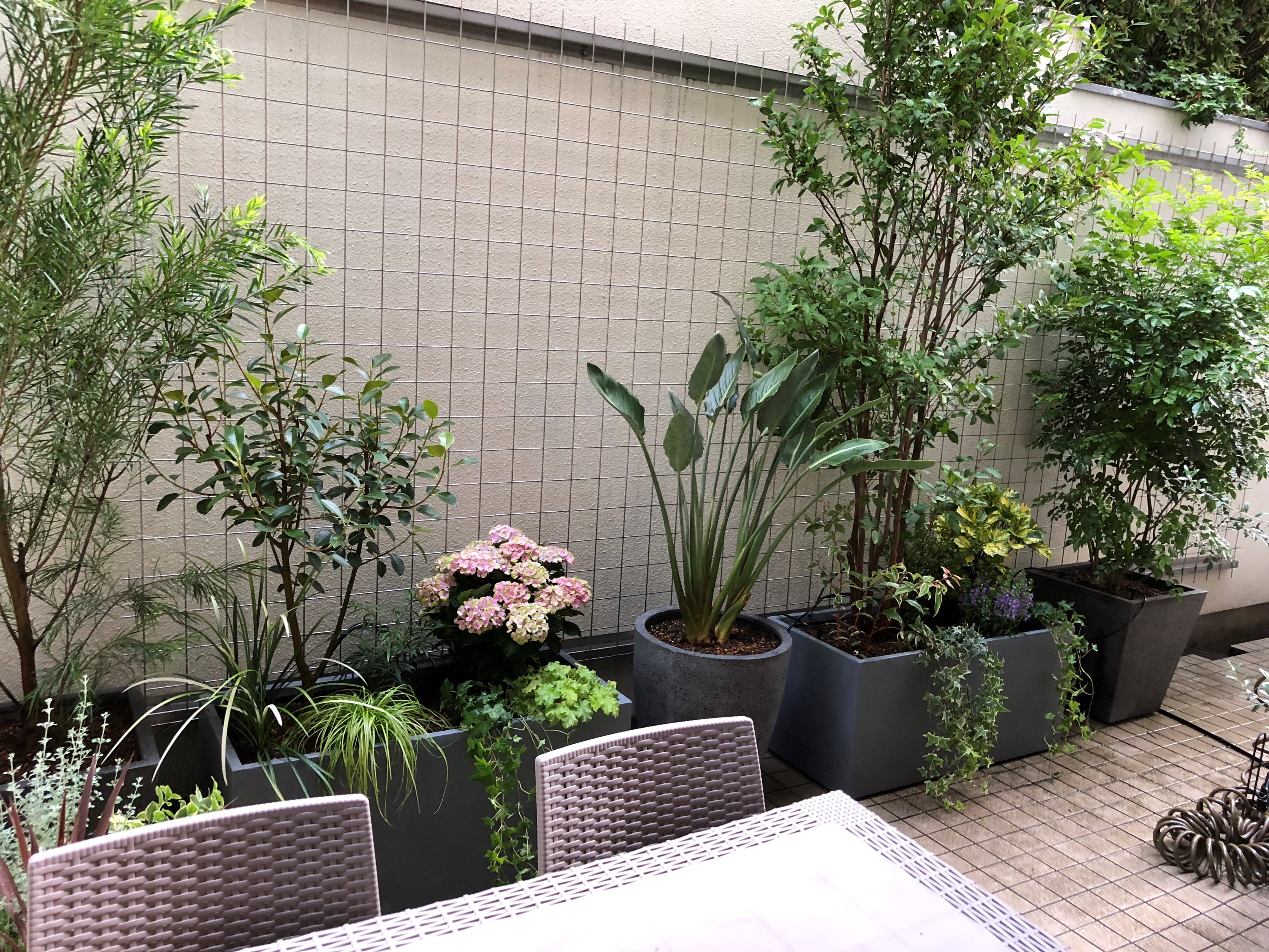 からならの木 Auf Twitter 庭づくりフェアー開催 ご自宅のベランダやバルコニー 外構植栽プランなど お庭の新規施工 リニューアル工事をお考えの方 この機会に是非ご相談ください ２月２８日までにご成約のお客様限定で 施工総額から１０ ０００円のお値引き