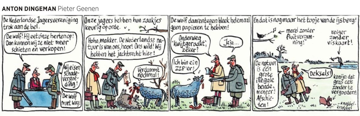 De Nederlandse Jagersvereniging trok aan de bel.
"De wolf eet ónze herten op!"

Dingeman in @Trouw