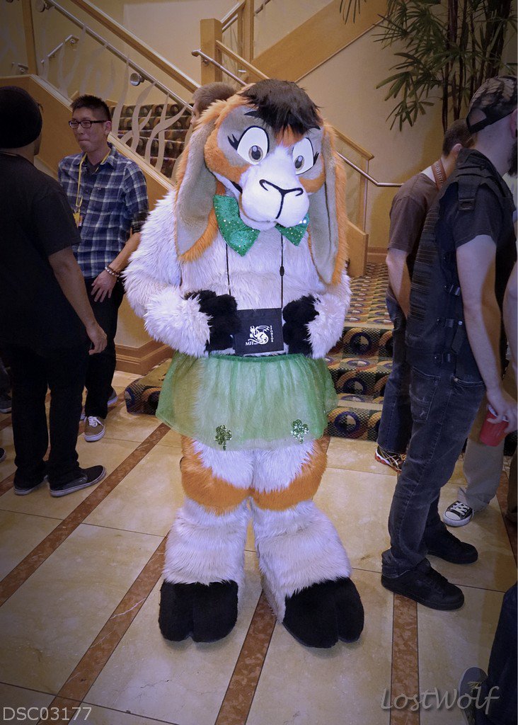 LostWolf321's tweet photo. Flash back @DaIrishGoat @furcon #FC2014 https://t.co/4d1pB7OAPA