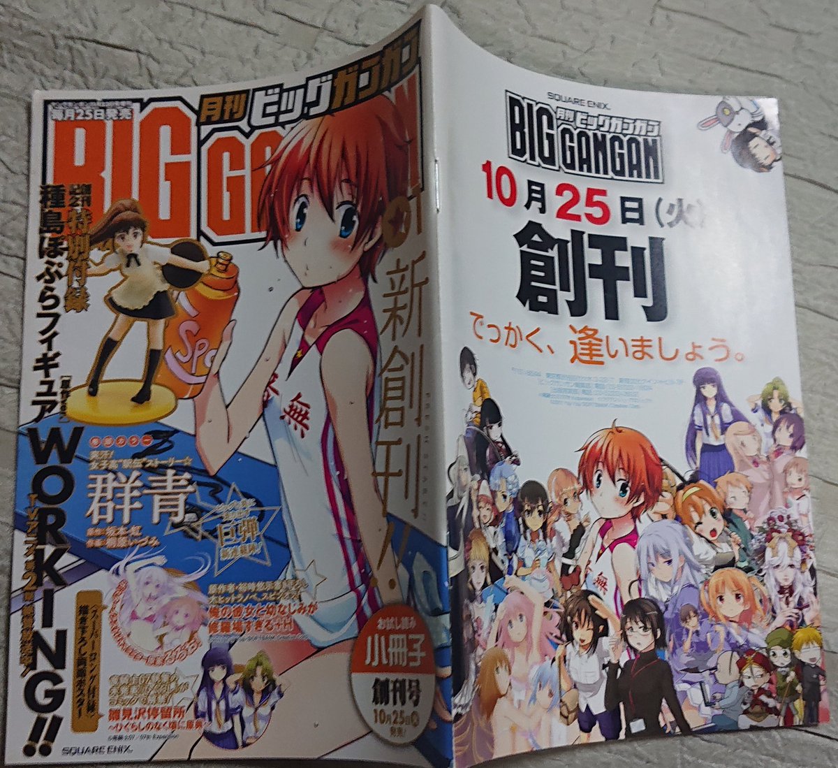 今日入手した冊子より 雛見沢停留所の告知ページ これでコミカライズ版