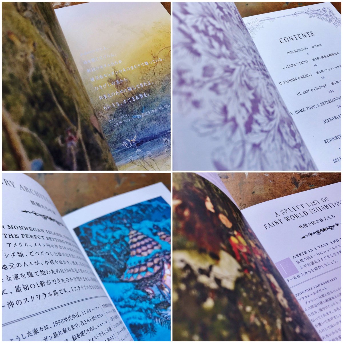 妖精の手引き書 不思議で美しいフェアリーの世界 - 人文/社会 妖精の手引き書 不思議で美しいフェアリーの世界 - 人文/社会