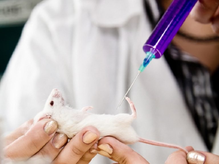 Onlinechwhelp's tweet image. We, at onlinecollegehomeworkhelp believe in helping you with a better knowledge of your subject. Our bioengineering experts are available to help you with your doubts, homework or projects 24×7. 
Contact us: +91-9878492406
Click here: onlinecollegehomeworkhelp.com/bioengineering…
#BioengineeringHelp