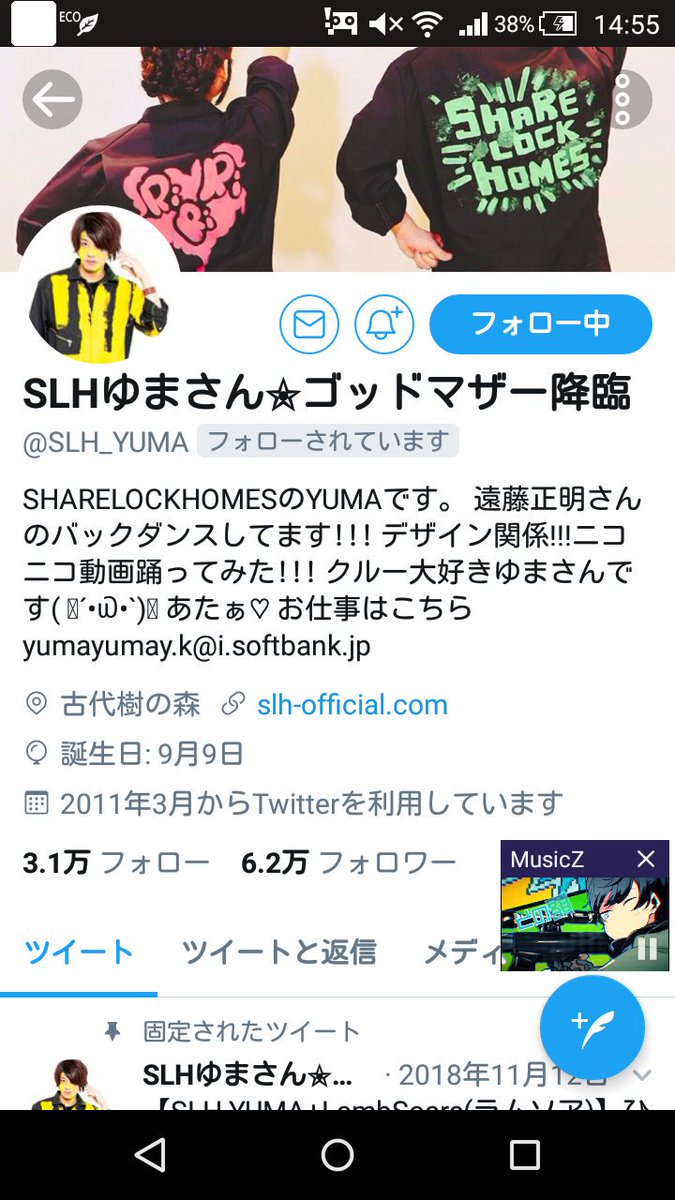 Slh たぬき