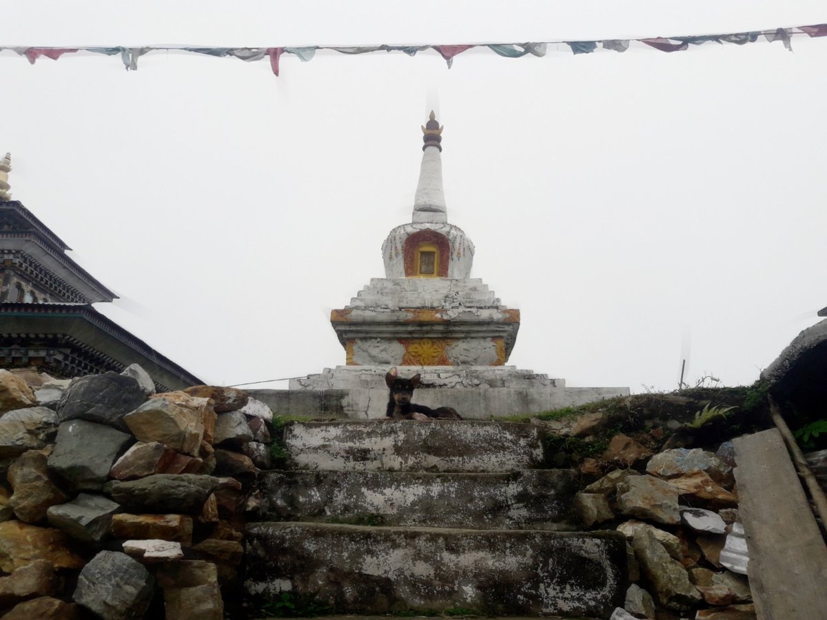 Peaceinhell2's tweet image. At lepchakha the heaven of dooars