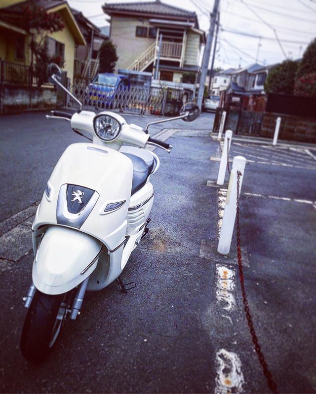 JT_RIDER_007's tweet image. プジョーに異常ー発生。急にバッテリーが上がって強制筋トレ。適度に乗っているのに変だなぁ。#mydjango #peugeotdjango #プジョー #peugeot #ジャンゴ #django #ジャンゴ150 #django150 #スクーター #scooter #Motercycle #バイク #オートバイ#150cc #筋トレ bit.ly/2RdiKe4
