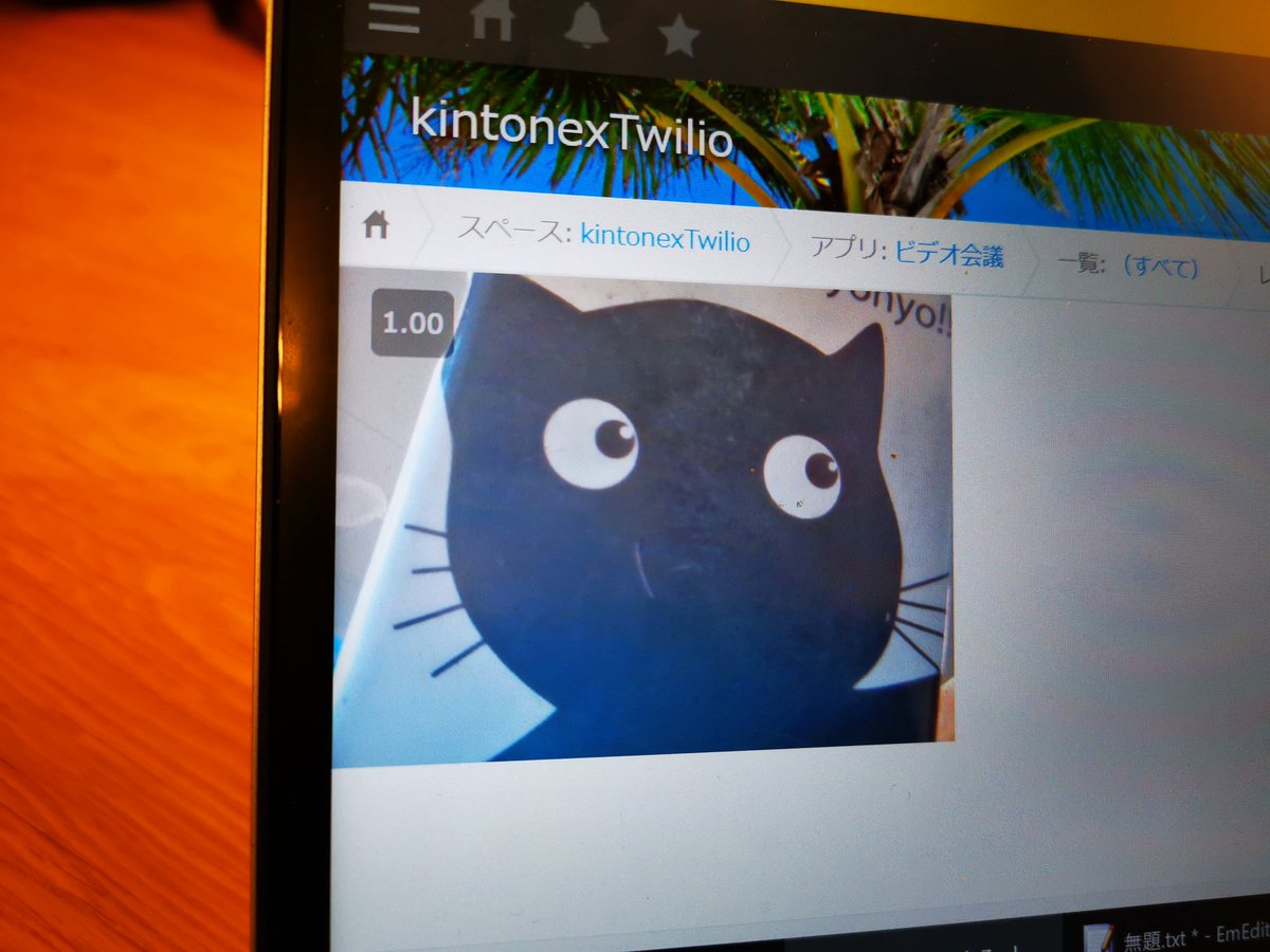 kuronyankotan's tweet image. Twilioでビデオ動きました＼(^o^)／
#twilio #kintone #twiliojpug #kintonecafe