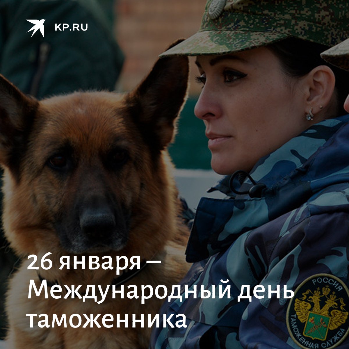 День таможенника открытки собака