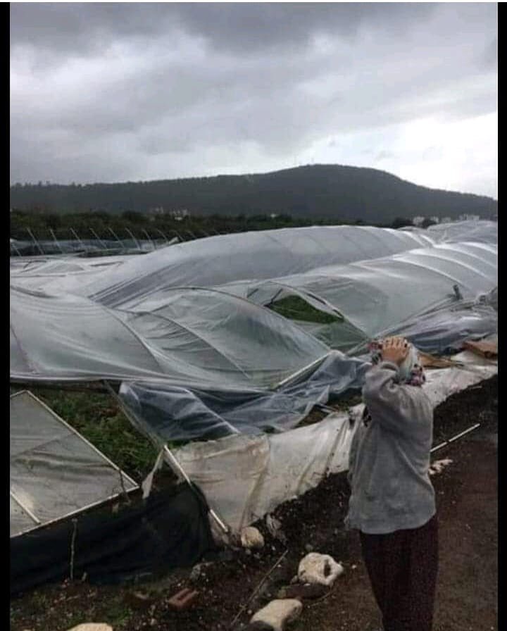 0kekova's tweet photo. Bazen SÖZ biter. https://t.co/O7EHBUUikf