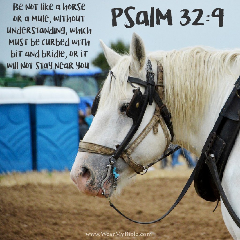 'Be not like a horse or a mule, without understanding, which must be curbed with bit and bridle, or it will not stay near you.' [Psalm 32:9 ESV]

#benotlike #horse #mule #understanding #bit #bridle #staynear #understand #follow #followme #Jesus #Bible #BibleVerse #God #letGodin