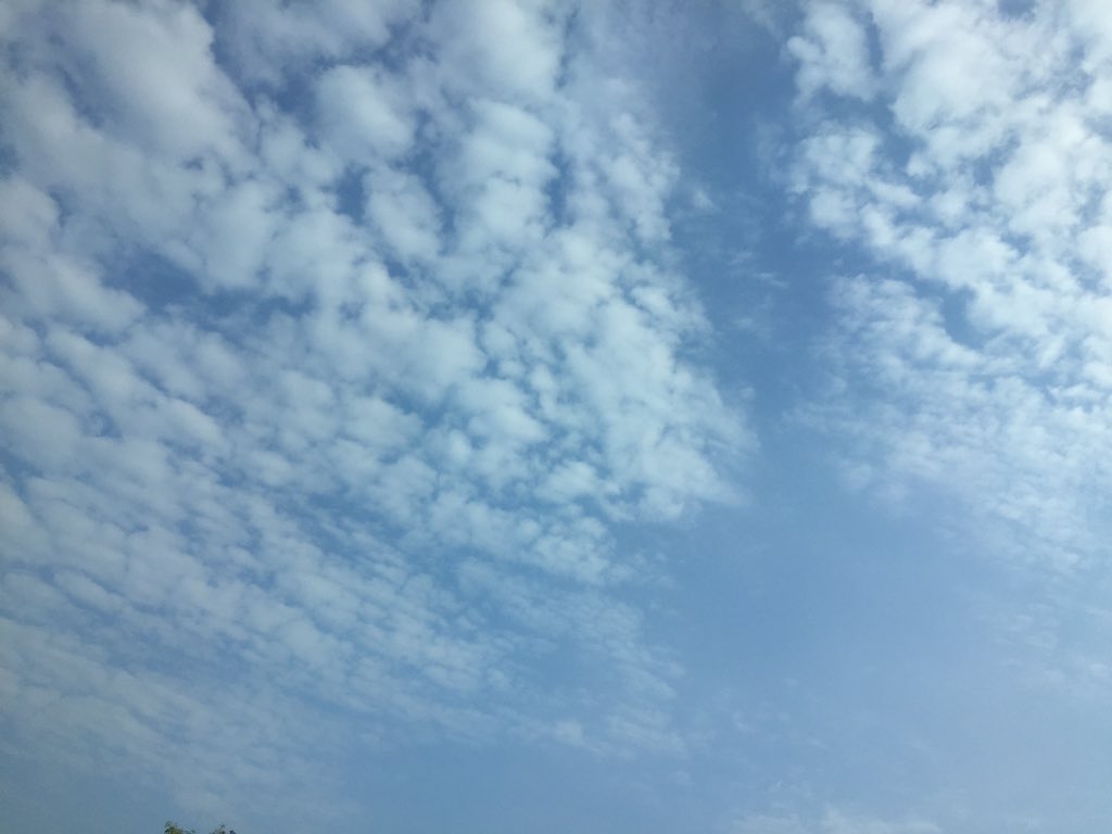 𝒷𝒶𝒷𝓎อยากเรียก𝒹𝒶𝒹𝒹𝓎 ft. นอนกลิ้ง tweet media