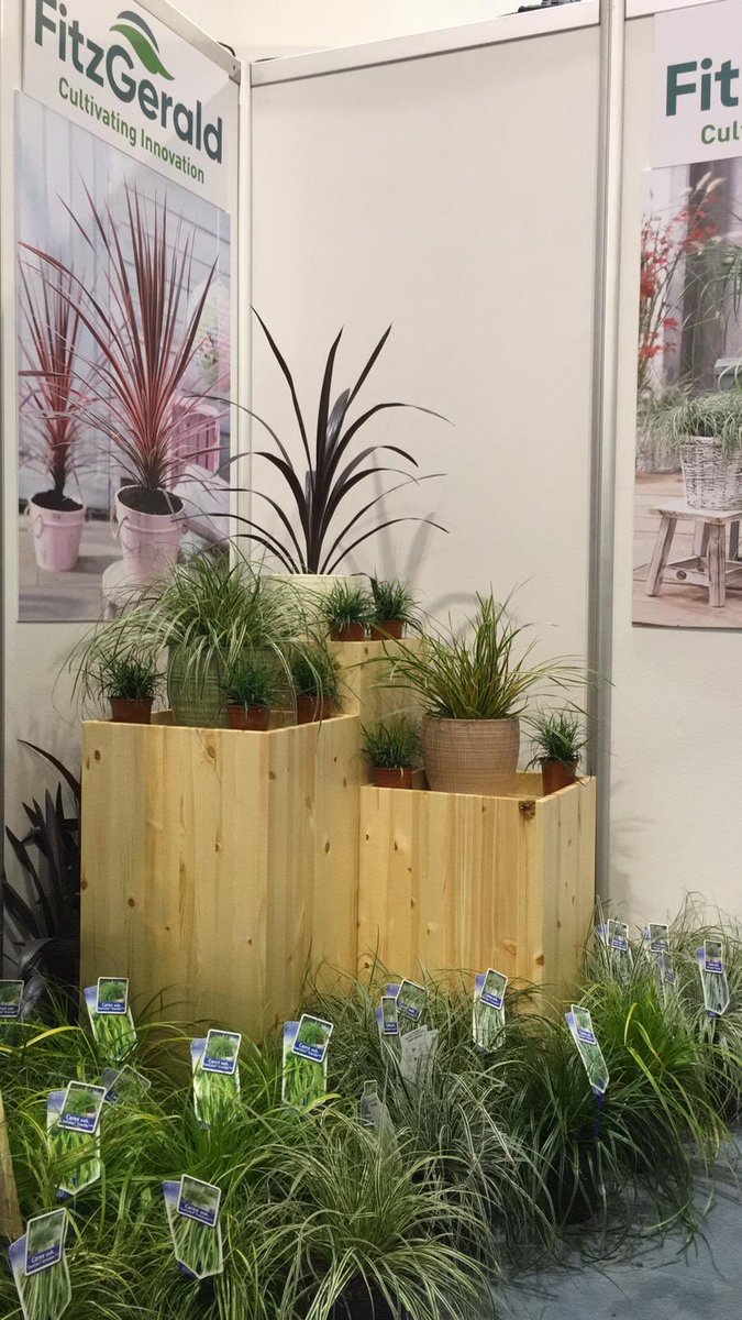 PatFitzGerald's tweet photo. More shots from IPM Essen 2019
#ipmessen2019 #agritech #horticulture https://t.co/6Up8WrUpVE