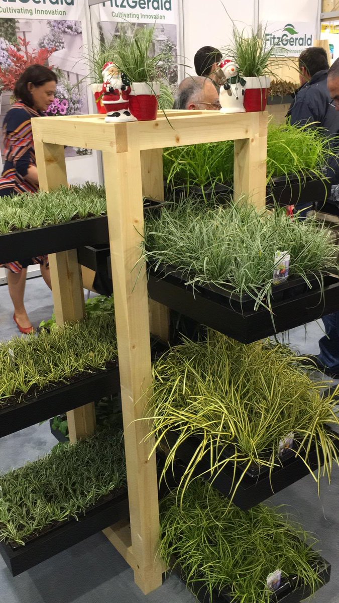 PatFitzGerald's tweet photo. More shots from IPM Essen 2019
#ipmessen2019 #agritech #horticulture https://t.co/6Up8WrUpVE