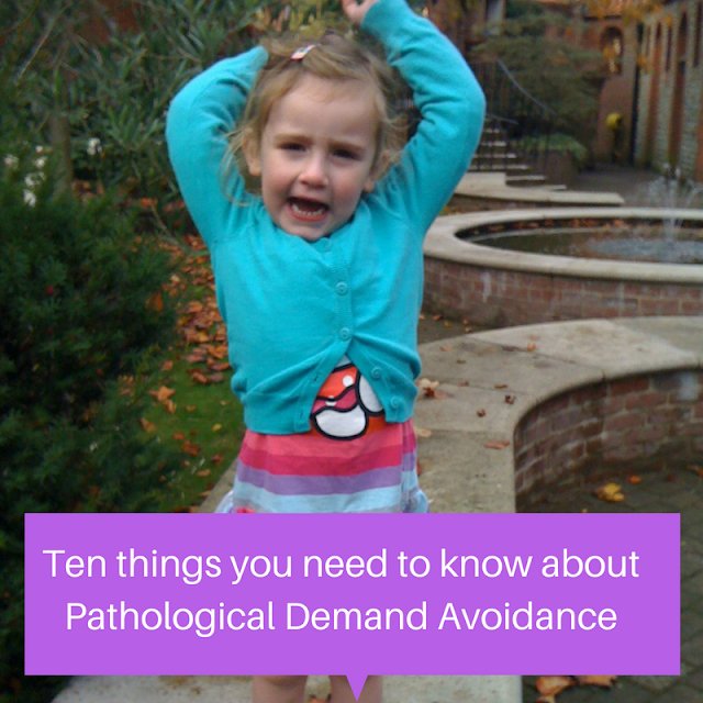 Steph’s Two Girls tweet media