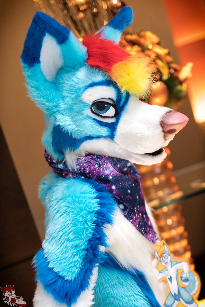 Today's colour is blue! 💙
Suiter: <a href="/CobaltTheHusky/">Cobalt - The Duel Disk Dog</a> 
Suit by: <a href="/MadeFurYou/">Made Fur You</a> 
Con: MFF2017