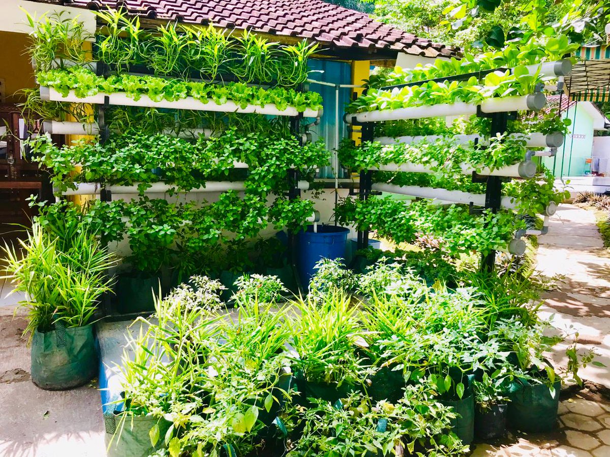 bwangiberkebun's tweet photo. Tim Dekorasi kita @IDberkebun @dpubmcktr_bwi @rnc_py @zulfy_py ikut menyambut Ibu Presiden @jokowi di @banyuwangi_kab @AzwarAnas_A3 https://t.co/JT3CKK7yLz