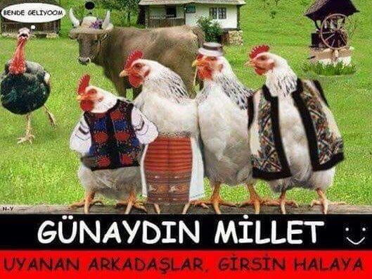 CanAtay84's tweet photo. Günaydın kadrolu mutsuzlar😉 Günaydın güzel ve tatlı kadınlar
Günaydın yakışıklı erkekler  
Günaydın hayata dört elle sarılanlar😊G Ü N A Y D I N N N ❤ 👇👇👏👏💙💙#TEYYY #TEYYYY  💃🕺🤩🤩🤩🤩 https://t.co/CdZnGcjTxl