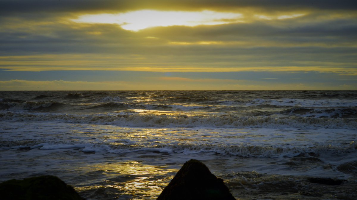 DelucaImages tweet picture