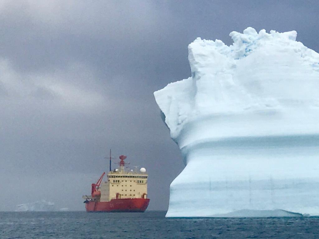 Me acaban de enviar esta hermosa foto del Irizar en la Antártida #CamparaAntártica #Orgullo 🇦🇷🇦🇷🇦🇷