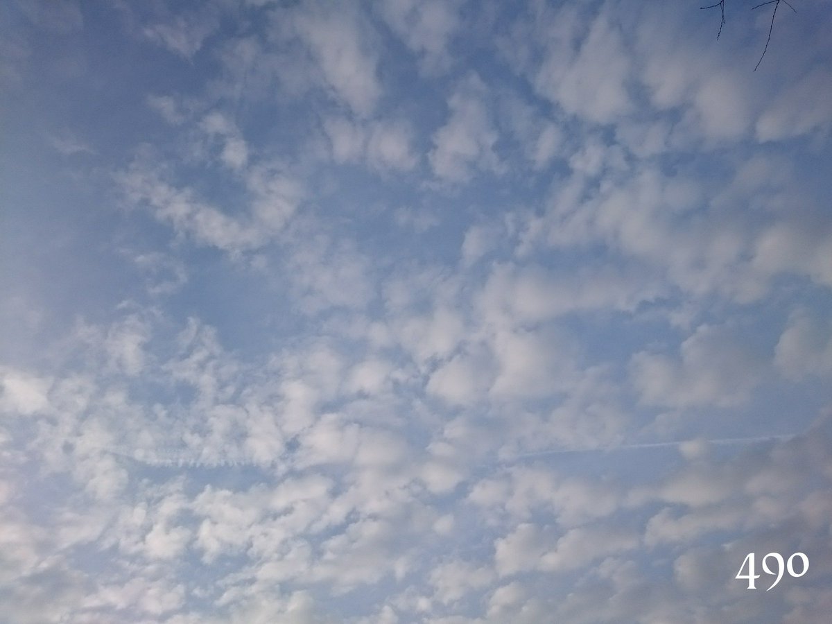 0724Nyan's tweet photo. あんにょん😊
今朝は天気予報が当たり、雪が積もりました❄明日も積もるかな💦
#同じ空の下
#D489
#D490
#寒いの嫌い
#雪掻き用のシャベル買いました https://t.co/SqWRXbhUdH