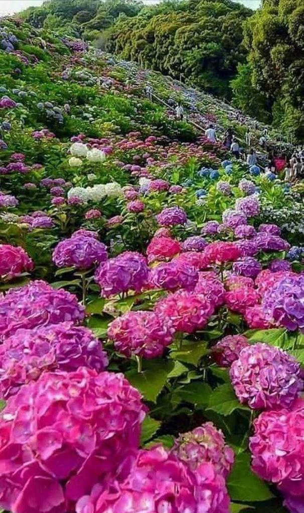 luthful7's tweet photo. 🙋 Thank You Dear Friends for the Retweets,Likes,Mentions &amp; Recent Follows 💐 🙏 Wishing You All a Very Happy Weekend with Family and Friends  💕 🍀 https://t.co/auxQBTjug9