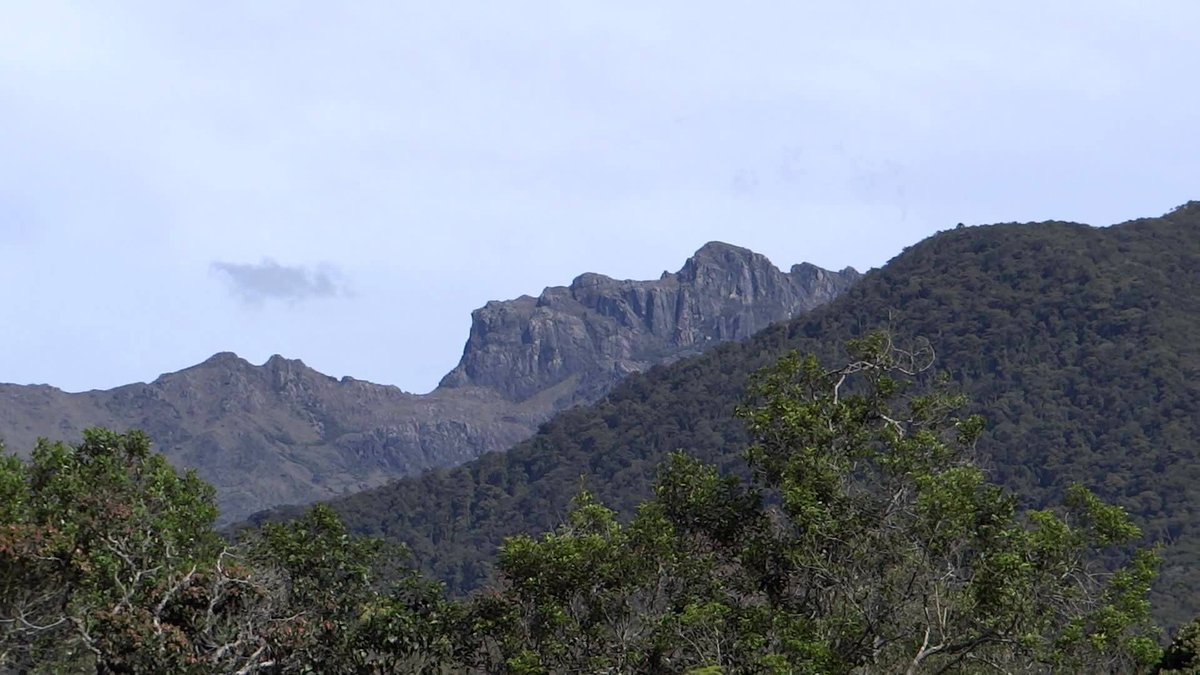 MeridaNatural's tweet photo. La Cara del Indio. #Mérida #Venezuela #MeridaNatural #Paisajes #visitamerida #MeridaVenezuela #Lagunasdemerida #meridaven #turismo #fotodeldia #instagood #meridaparatodos #caradelindio  https://t.co/EJJRwFO20q