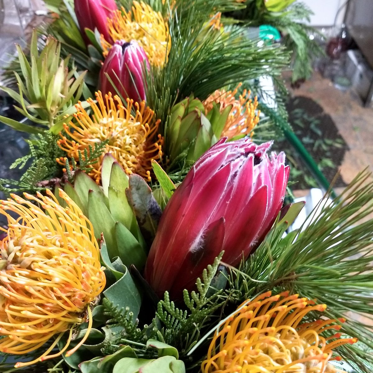 cricketsflowers's tweet photo. Some #funFunky flowers. Love the texture of the #protea accented with #cymbidium. #flowers for a cold #NewEngland day. https://t.co/XqDazSKaJV