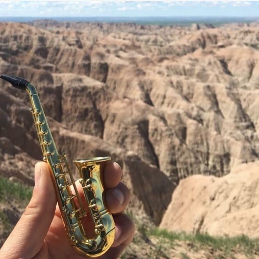 GreenGoddessSup's tweet photo. Want a fun conversation piece that’s also a good pipe? Checkout our Deluxe Sax Pipe https://t.co/wT2cm7WYjN #saxpipe #saxophonepipe #saxophone #saxpipe #weed #cannabisculture #cannabis #stoners #ganjagirls #stonergirl #stonernation #stonerchick #stonergirls #staylifted #staylit https://t.co/C1LNKPA57d