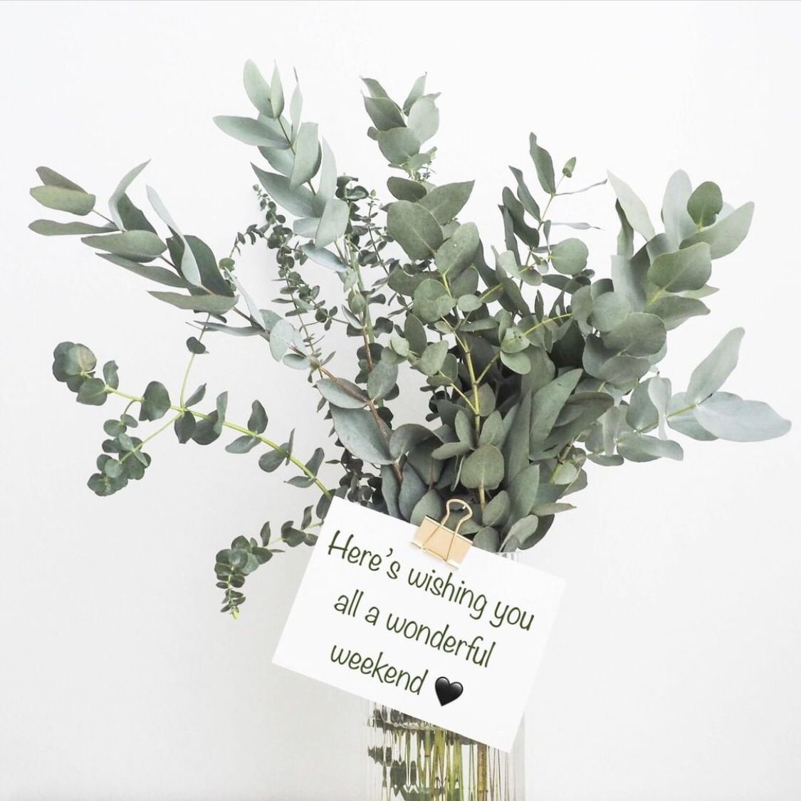 AllianceforED_'s tweet photo. Simply wishing you a wonderful weekend! Please take care of yourself today and every day! #happyweekend #weekendisuponus #wonderfulweekend #Saturday #SaturdayVibes #weekendplans
#havefun #staysafe #takecareofyou #edrecovery #eatingdisorder #yourpathtorecovery
#allianceforEDA https://t.co/ZuoqpnnXcy