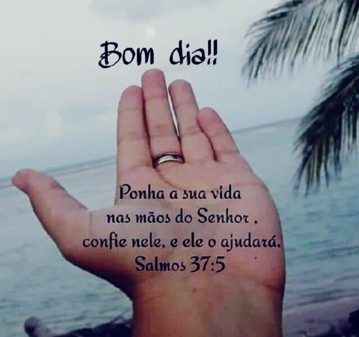 Aline Capella (@aline_capella) on Twitter photo 