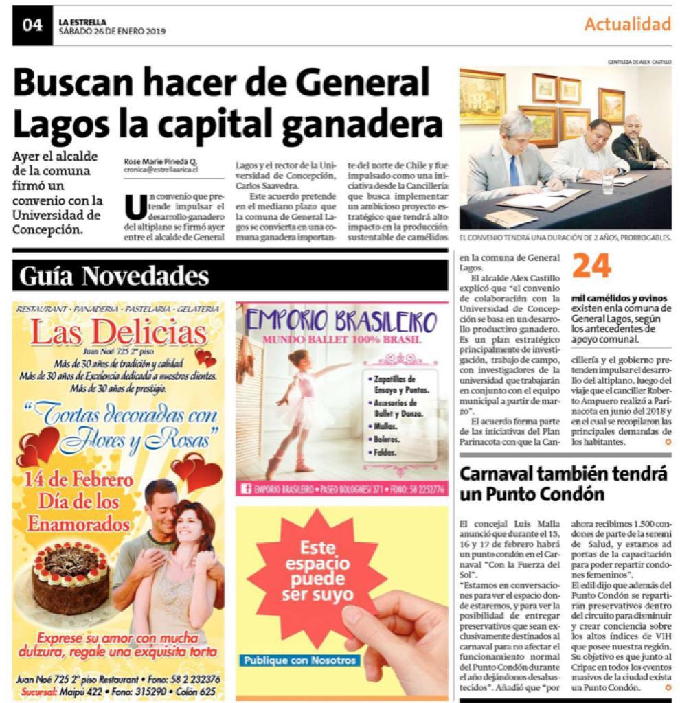 generallagos's tweet photo. Semana exitosa junto al canciller Roberto Ampuero, Senador Osandon, el equipo de cancilleria liderado por don Roberto Ruiz, la consejera Naomi Calle. Que concluye con la  firma de un convenio de colaboracion con la UDEC. JALLALA GENERAL LAGOS, JALLALLA PLAN PARINACOTA https://t.co/VRQUBYYpJm