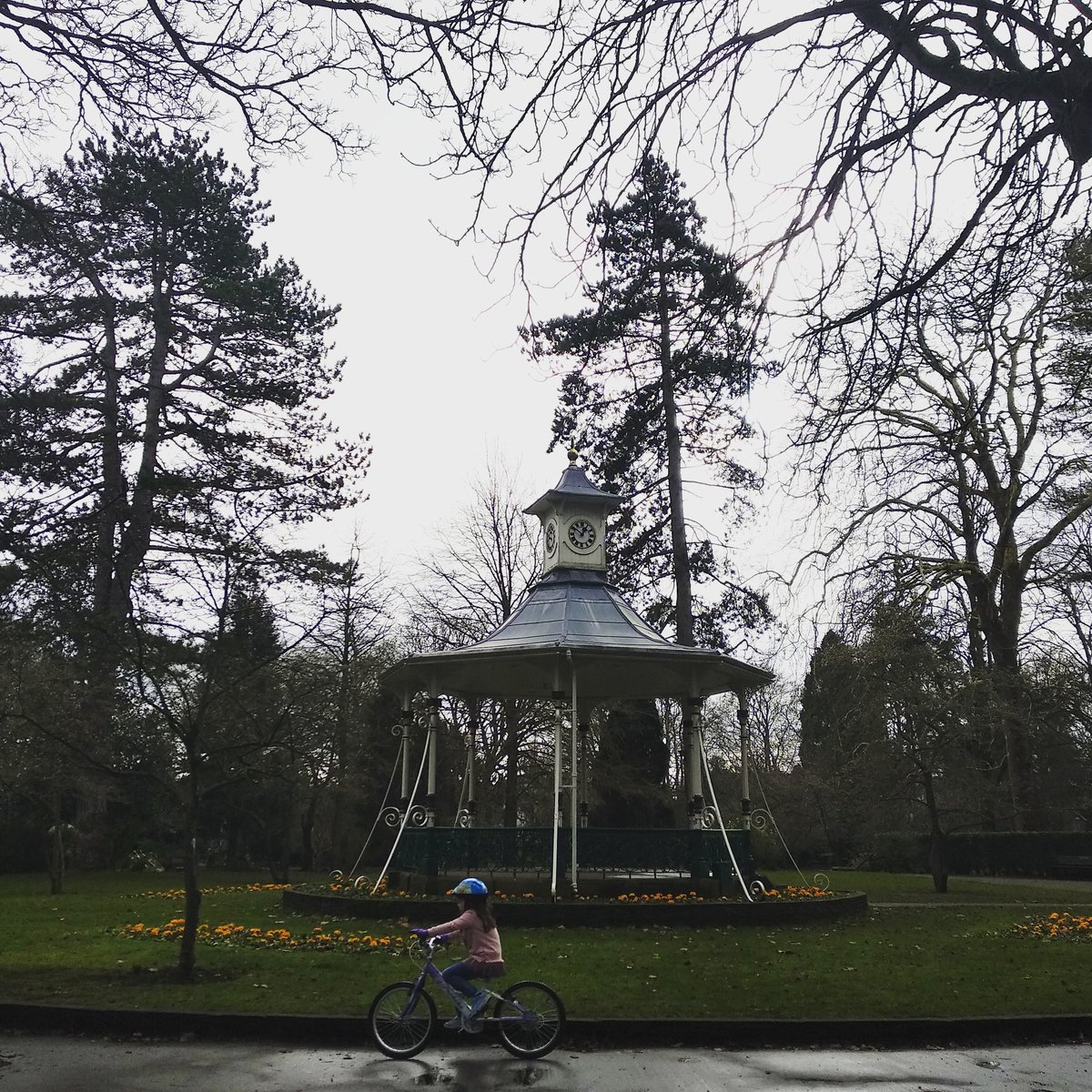 Find your own colour in a dreary day 🌻 #swindon 🚲 #positiveswindon ⏲️ #we_are_swindon

instagram.com/p/BtGYfM-grVo/…