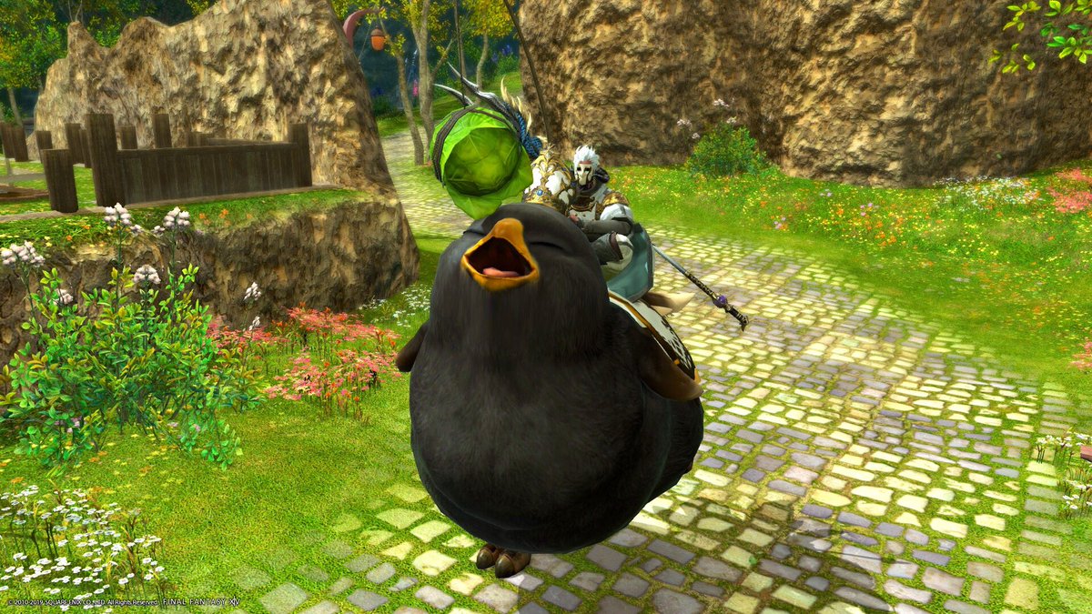 でぶ黒チョコボゲット！
かわいいいい！