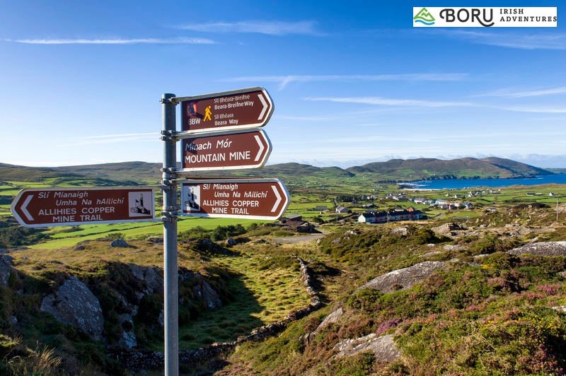 This article is spot on!
Beara Peninsula is beautiful and perfect for small groups!

#Ireland #discoverireland #adventureireland #ComeToireland #VacationInIreland #VisitIreland #HolidaysInIreland #TravelinIreland #WildAthlanticWay #ComeToIreland

ow.ly/82Bg30npe5q