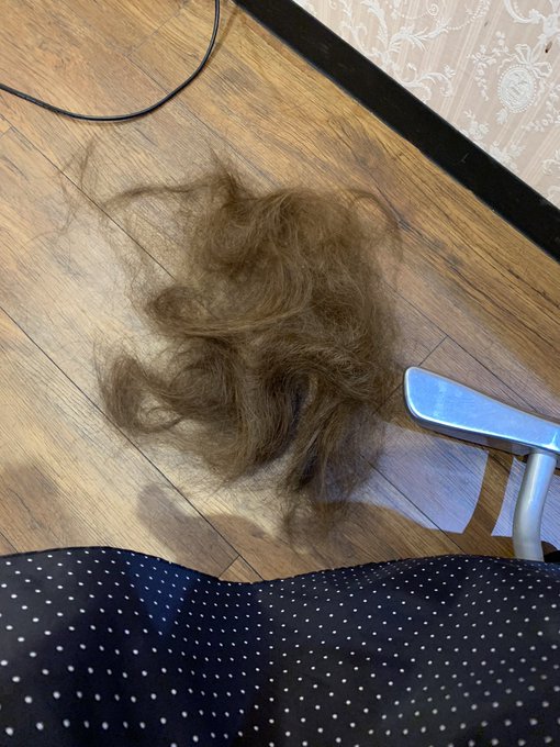 コスプレイヤー成賀久瑠王 (なるがくるみ)のTwitter画像29