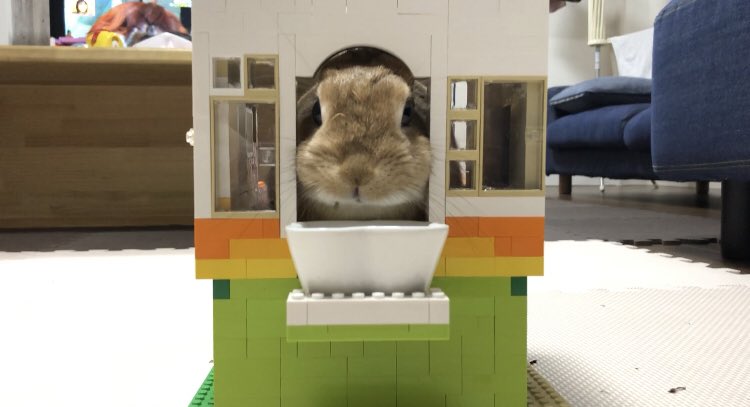 うさ男 お また素晴らしい うさぎの体重計 を開発してしまった うさぎ 飼い主共にノーストレス