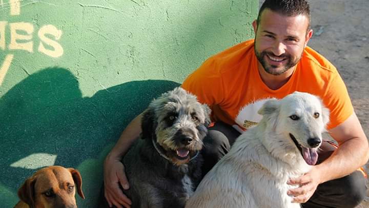 cajasiete's tweet image. ¡Hoy sábado arranca la segunda edición de #Animundo con la colaboración de Cajasiete! 💚💚 Durante este fin de semana la Feria del Animal de Compañía en @infecar contará con actividades, talleres, charlas, exhibiciones y pasarelas de adopción 🐕🐶