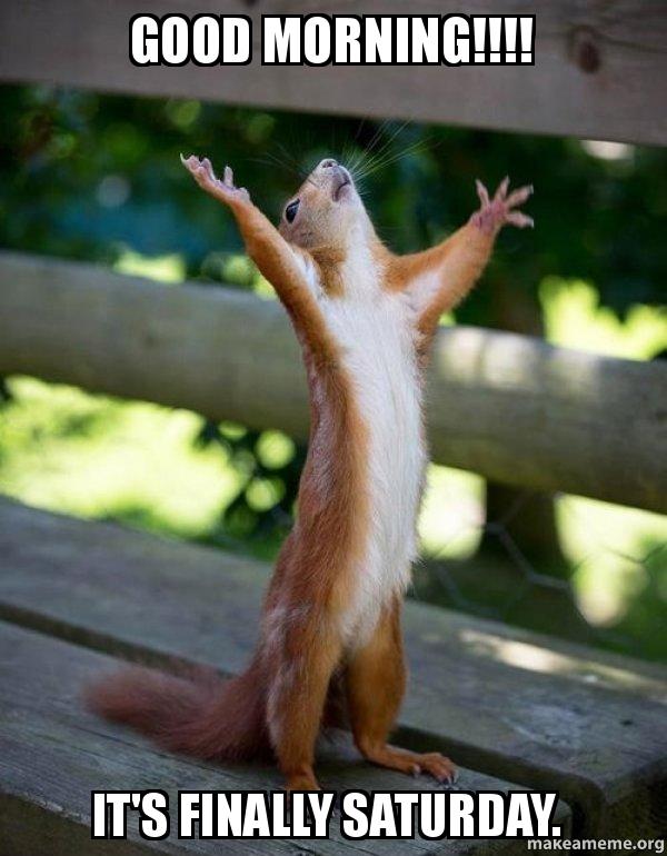 Why not take advantage of our weekend wallet saver allday today with 2 course’s for only £9.99, choose any meal from our real pub favourites plus any starter or any single dessert😋  *excludes sharers #happysaturday