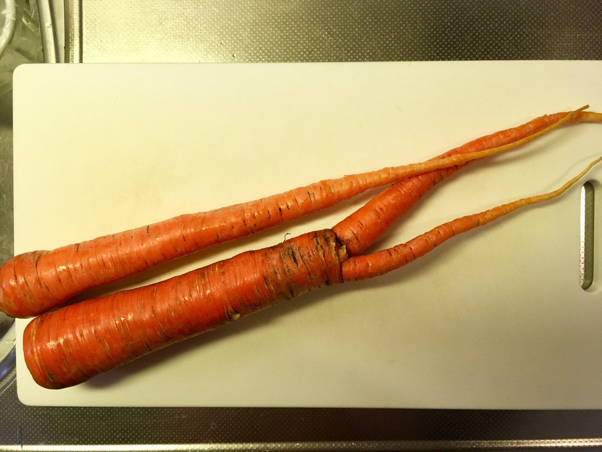 まるやん 晩ごはんは 幻の 村山にんじん そのままスティックと 煮物で 香りが良くて 甘くて 柔らかい ちょー美味い おススメ 幻の人参 う宮ーな