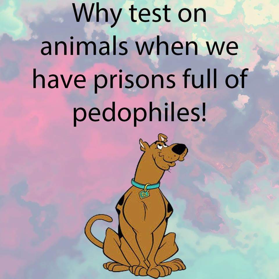 juliemonkeymad's tweet photo. https://t.co/JiDLfWA0Vi