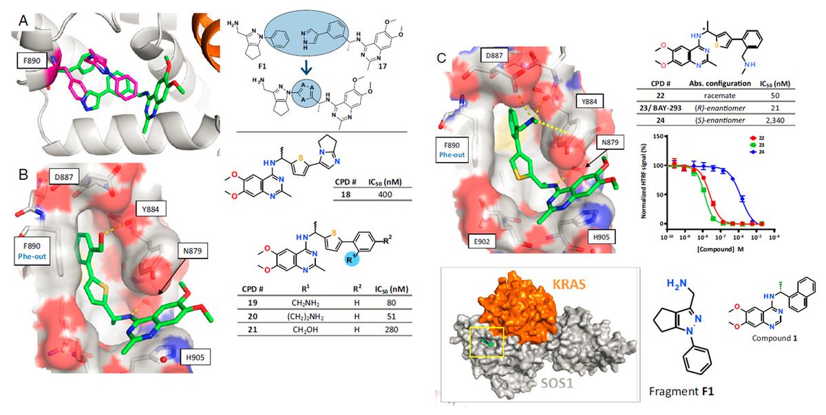 Targeting Ras, the nemesis of cancer drug discovery. A new paper by my colleagues <a href="/BayerPharma/">Bayer | Pharmaceuticals</a> is showcasing the beauty of lead design: Hybridizing a hit from a fragment screen with a HTS lead series gives the potent probe BAY-293: @EvotecAG <a href="/PNASNews/">PNASNews</a> pnas.org/content/early/…