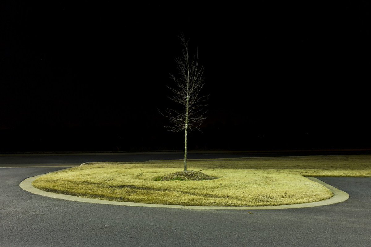 Chris King

“HP Tree - 72034”

In my quiet landscapes, I try to invoke the feeling and mood of places, giving external life to my own experience. Viewers sense they might...
#nationalopenart #ChrisKing #bigskyproductions #photographyaward #ctypeprint #quietlandscapes #photography