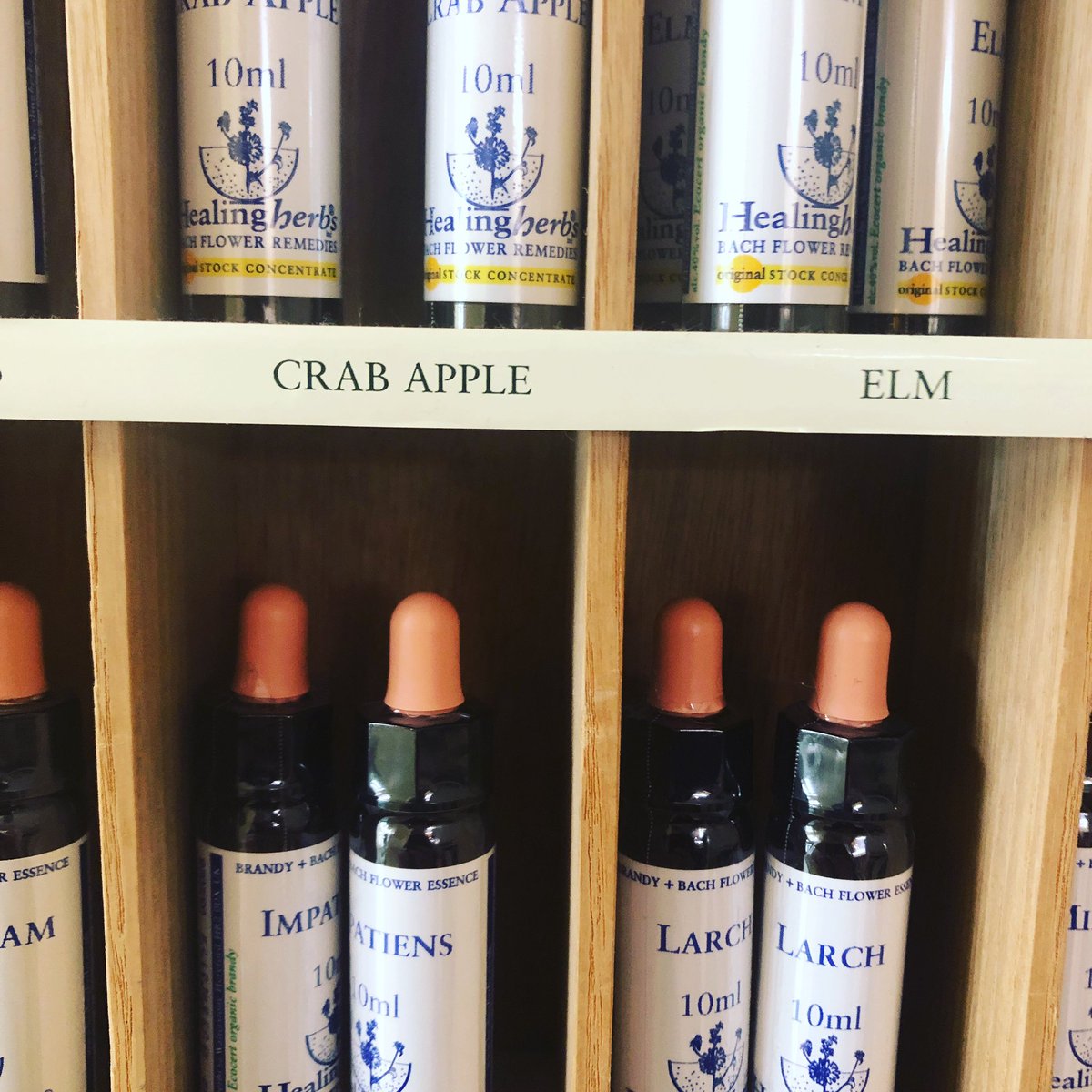 NWholefoods's tweet photo. Now available at Naturalife Sherborne (and Taunton) @the_healing_herbs flower remedies as created by Edward Bach.... #bachflowerremedies #thehealingherbs #flowerpower #bach #drbach #fiveflowercream https://t.co/jWhYg4wwth