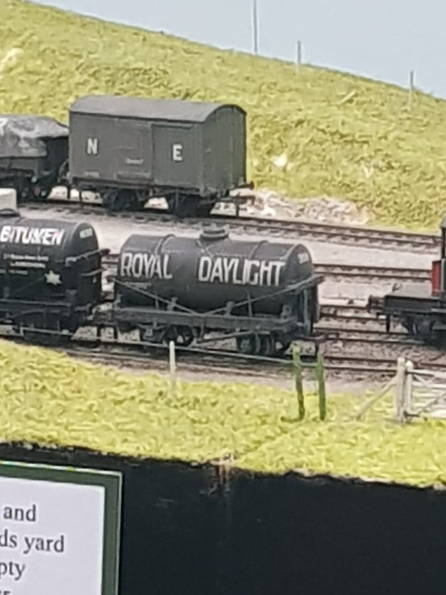 Coen On Twitter Can U Plz Add Thomas To Steam Age Plz - 
