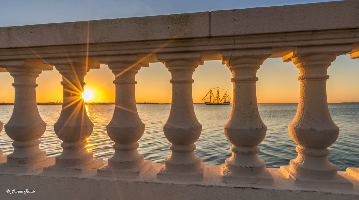 TampaBaysAwesom's tweet photo. Gooooood Morning, Tampa! ☀
Happy #Gasparilla Saturday 🗡☠️ ⚔️☠️🗡 
 📸 - @lanceraab https://t.co/1G5LbQPY8z
