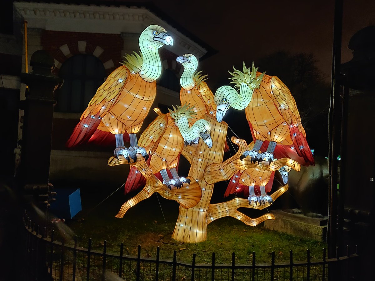 Ringodelamancha's tweet image. #ShotonOnePlus #OnePlusFrance