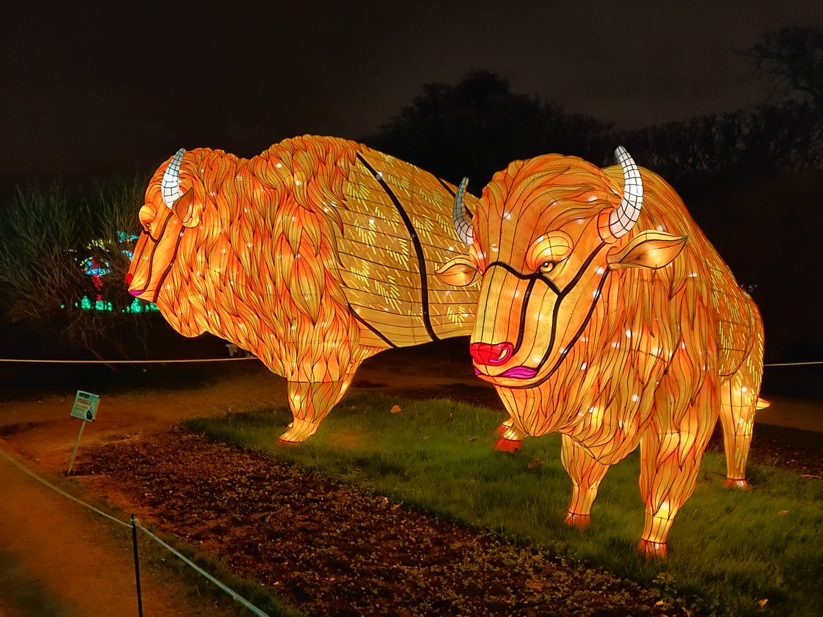 Ringodelamancha's tweet image. #ShotonOnePlus #OnePlusFrance