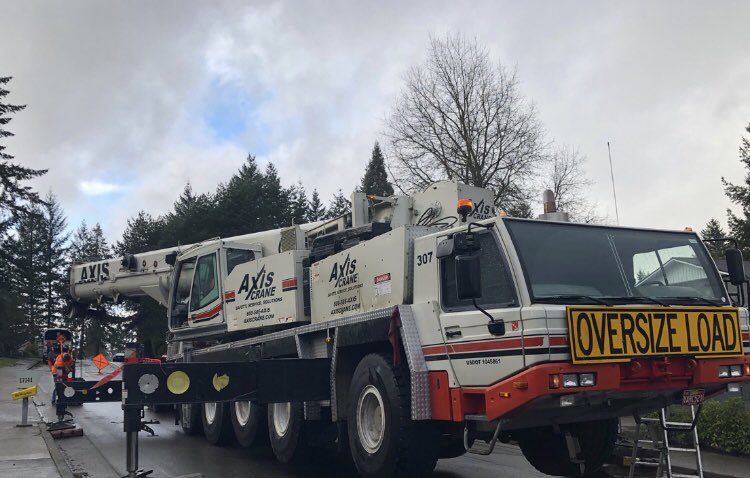 Tree work #axiscrane #cranes #rigging