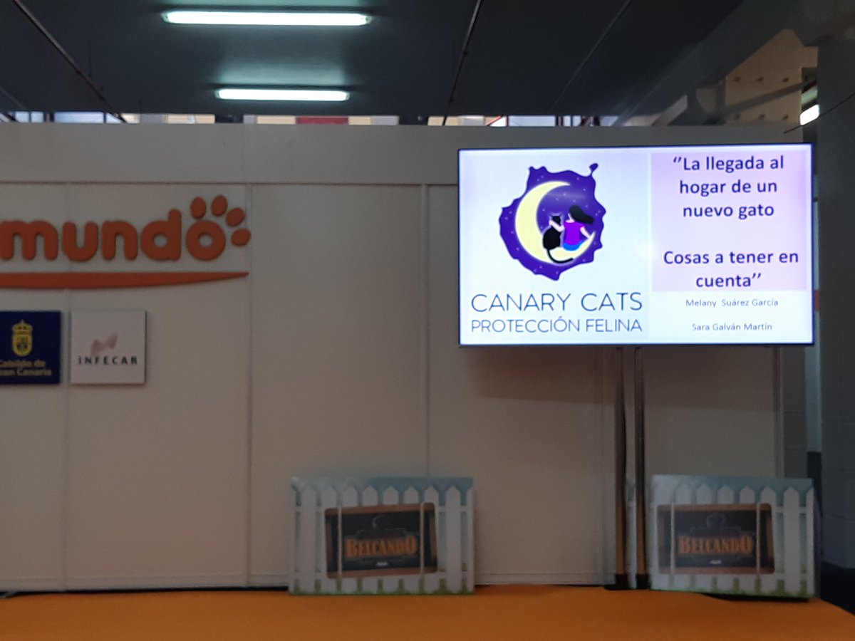 iggnattius's tweet image. Feria del animal de compañía #Animundo #Infecar #GranCanaria #lpgc